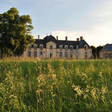 Chateau La Touanne Loire Valley Baccon Екстер'єр фото
