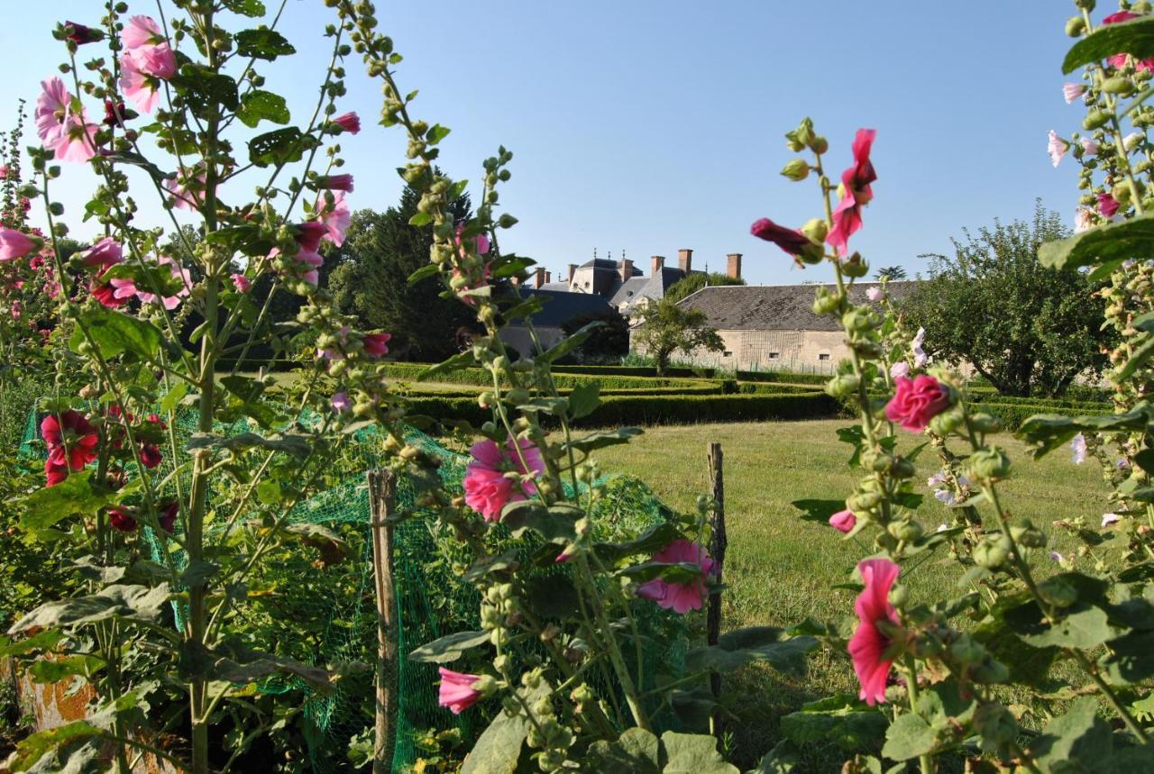 Chateau La Touanne Loire Valley Baccon Екстер'єр фото