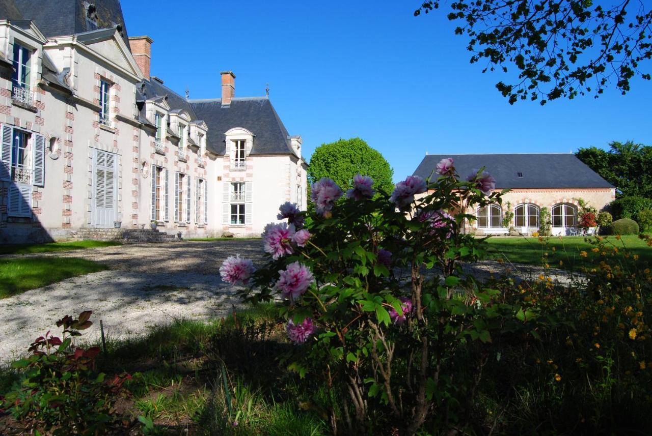 Chateau La Touanne Loire Valley Baccon Екстер'єр фото