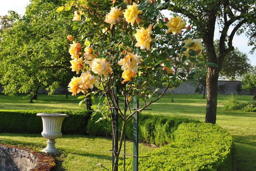 Chateau La Touanne Loire Valley Baccon Екстер'єр фото
