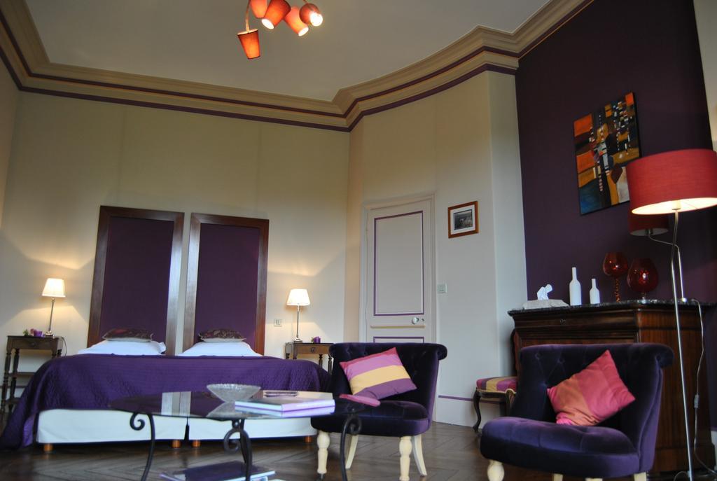 Chateau La Touanne Loire Valley Baccon Екстер'єр фото