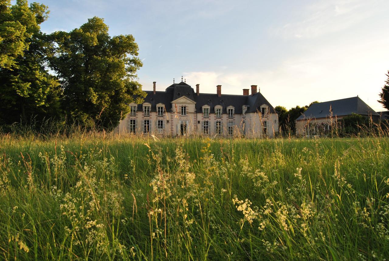 Chateau La Touanne Loire Valley Baccon Екстер'єр фото