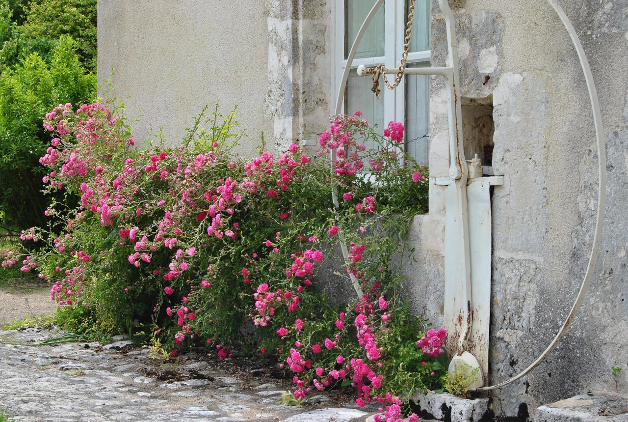 Chateau La Touanne Loire Valley Baccon Екстер'єр фото