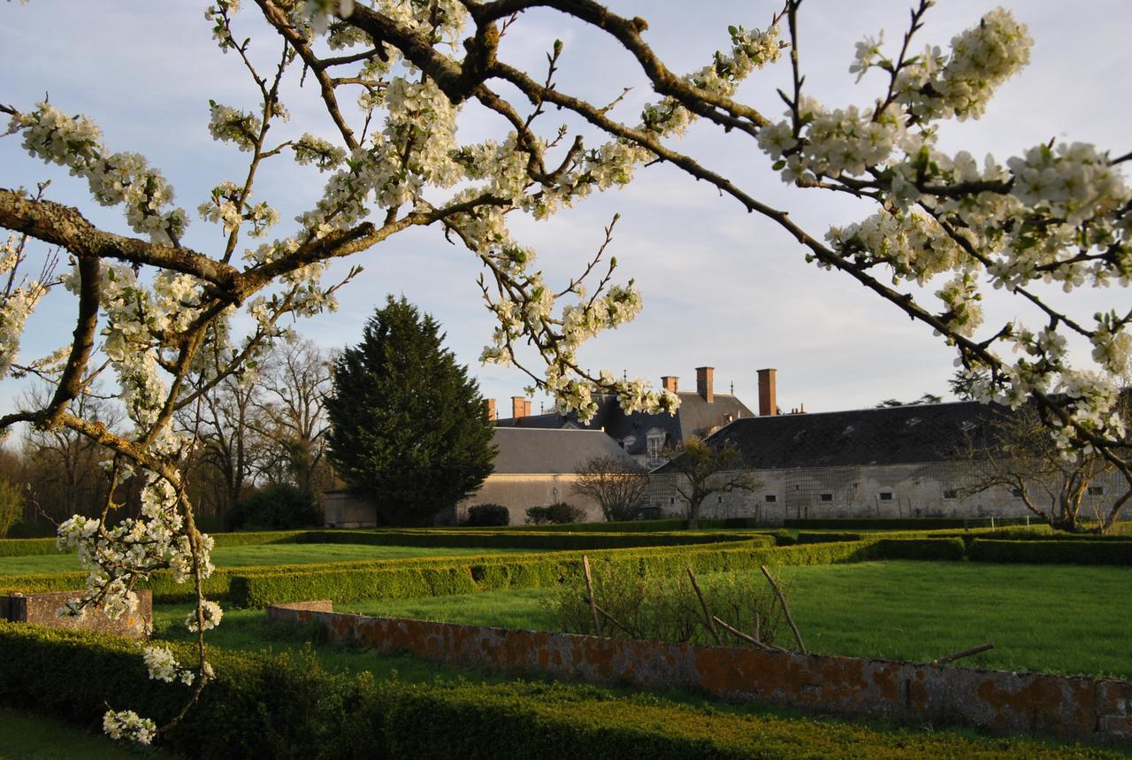 Chateau La Touanne Loire Valley Baccon Екстер'єр фото