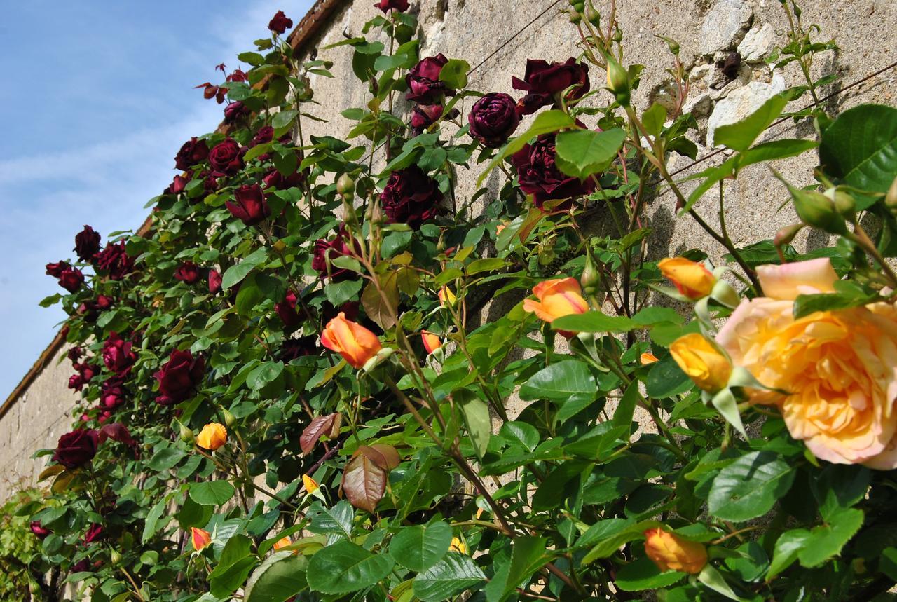 Chateau La Touanne Loire Valley Baccon Екстер'єр фото