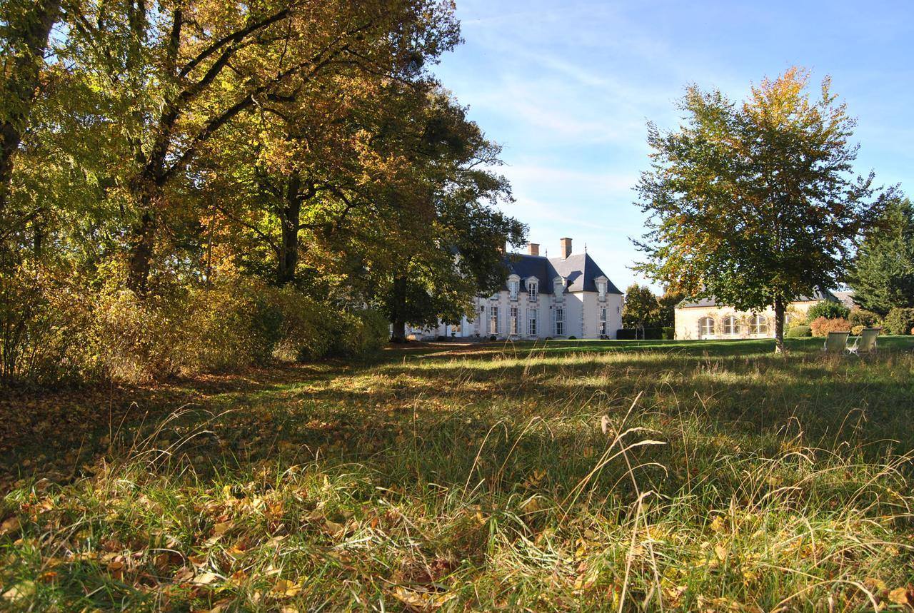 Chateau La Touanne Loire Valley Baccon Екстер'єр фото