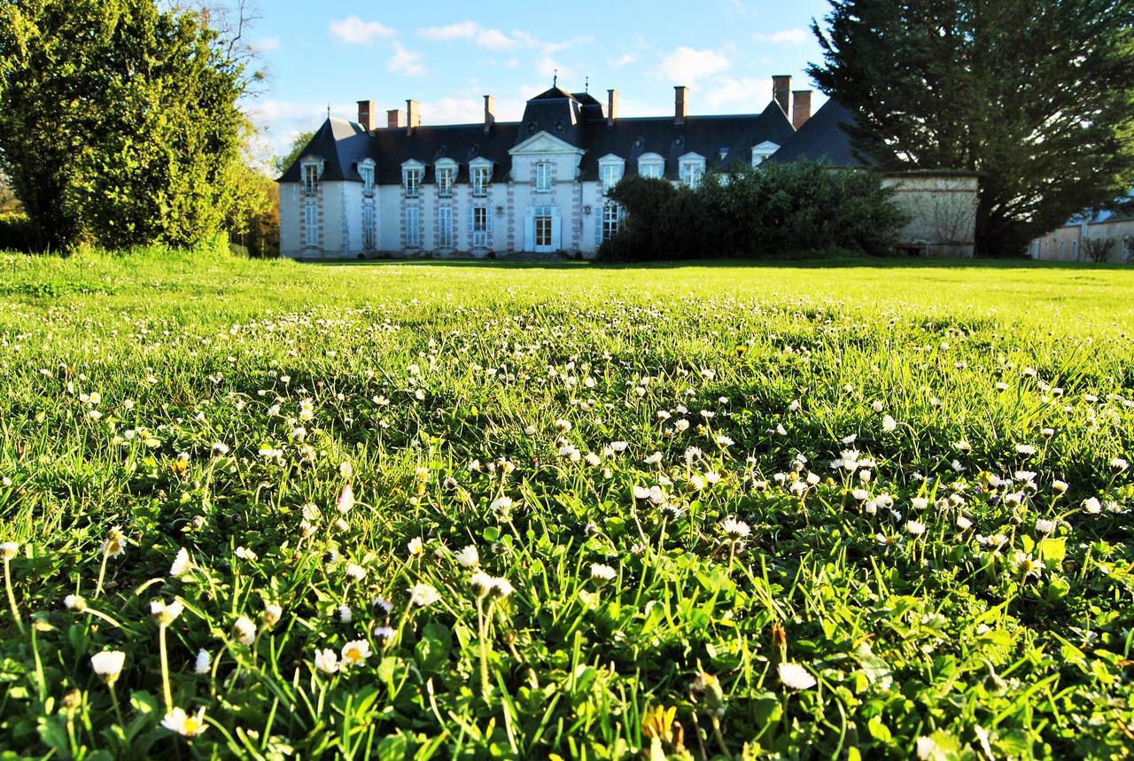 Chateau La Touanne Loire Valley Baccon Екстер'єр фото
