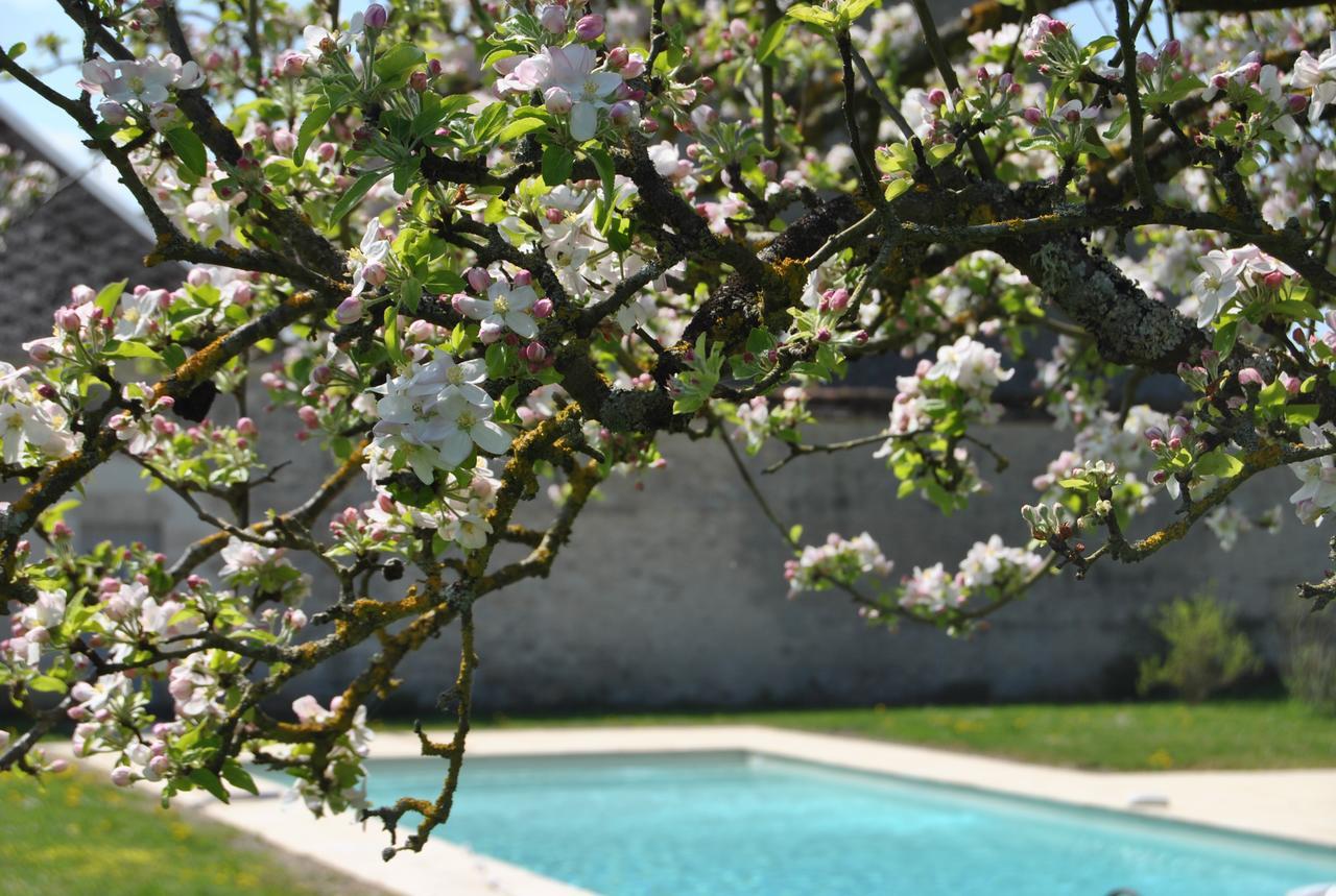 Chateau La Touanne Loire Valley Baccon Екстер'єр фото