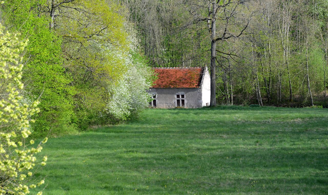 Chateau La Touanne Loire Valley Baccon Екстер'єр фото